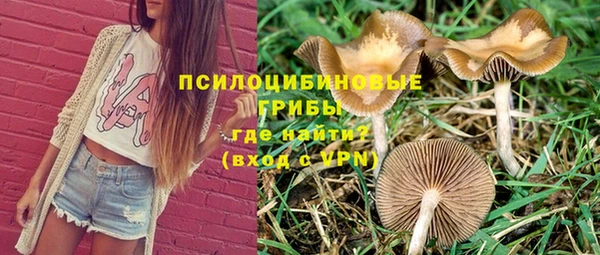 мет Надым