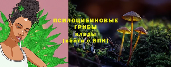 мет Надым