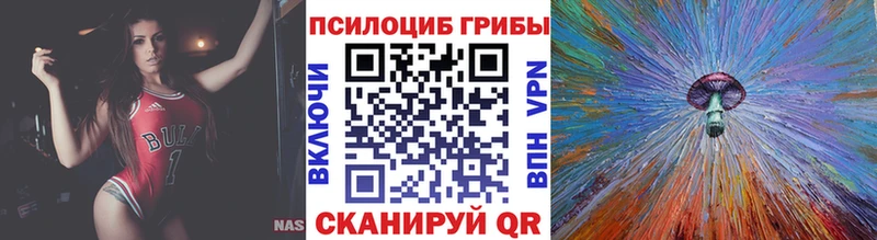 закладка  Сызрань  Псилоцибиновые грибы мухоморы 